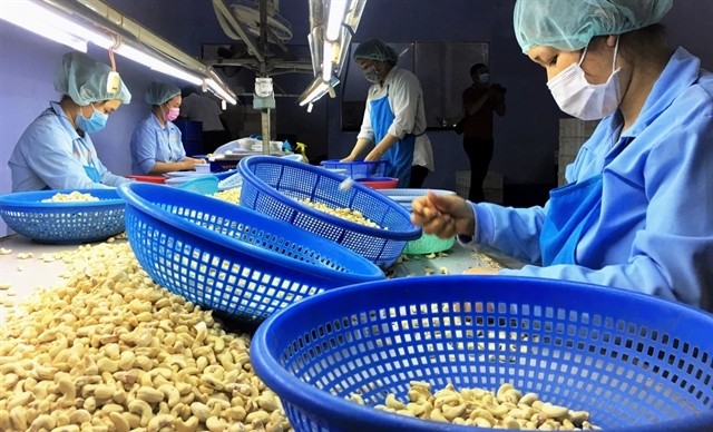 Vietnam exports 195,600 tonnes of cashew nuts in four months